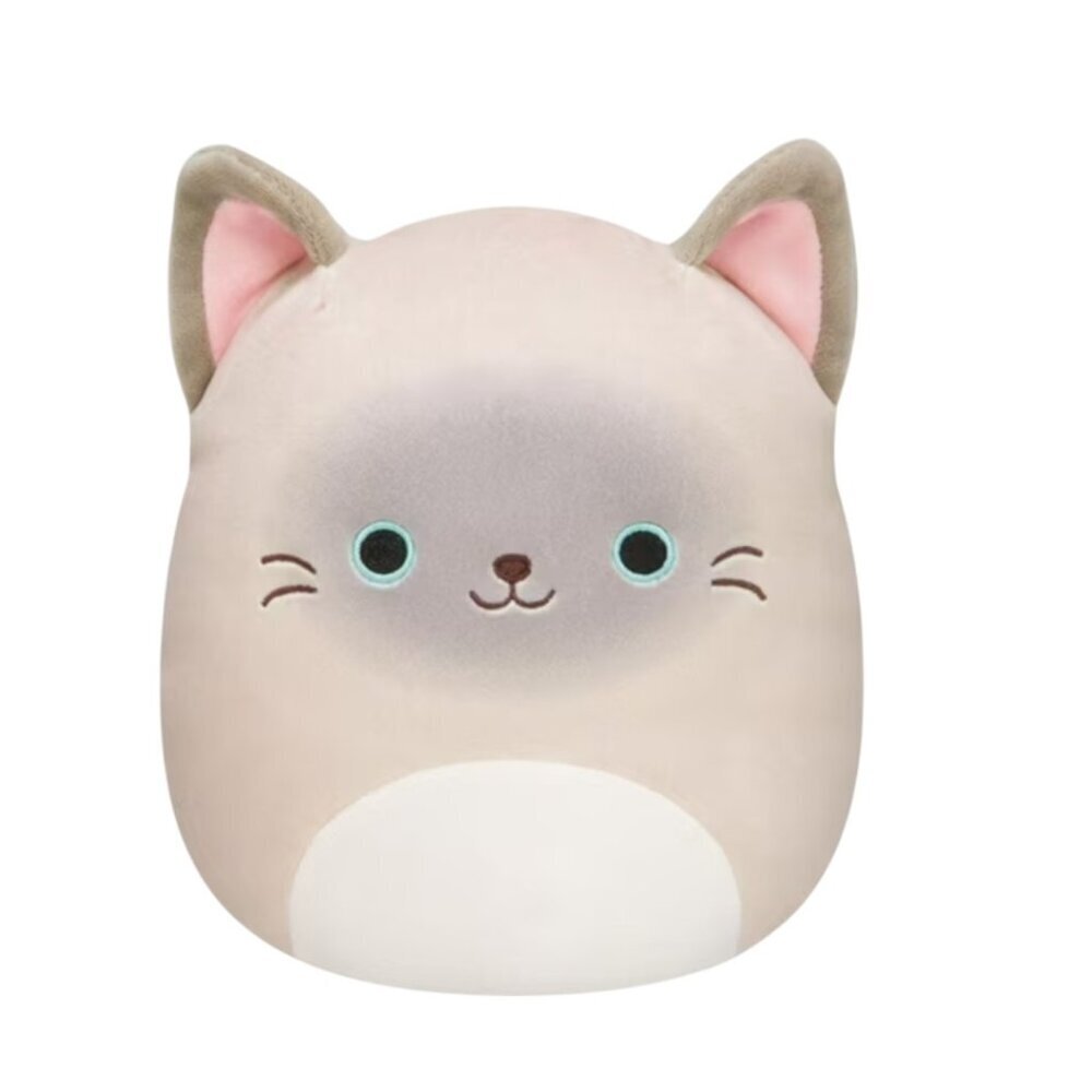 NEW Squishmallow Felton the Cat | 10"